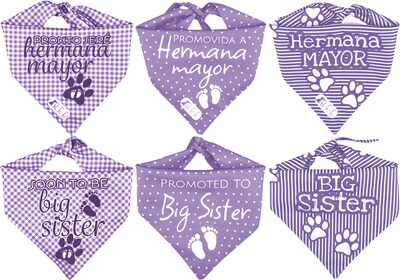 Foto 1 | Foto 1 | Kit 3 Bandanas Artesanales Para Perro Bff 040-hermana Mayor-lavanda Paliacate Doble Vista 6 Looks Diferentes.