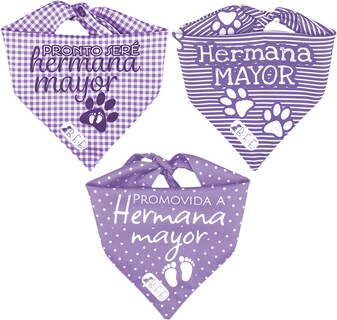Foto 2 | Foto 2 | Kit 3 Bandanas Artesanales Para Perro Bff 040-hermana Mayor-lavanda Paliacate Doble Vista 6 Looks Diferentes.