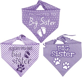 Foto 3 | Foto 3 | Kit 3 Bandanas Artesanales Para Perro Bff 040-hermana Mayor-lavanda Paliacate Doble Vista 6 Looks Diferentes.