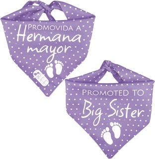 Foto 6 | Foto 6 | Kit 3 Bandanas Artesanales Para Perro Bff 040-hermana Mayor-lavanda Paliacate Doble Vista 6 Looks Diferentes.