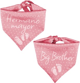 Foto 6 | Foto 6 | Kit 3 Bandanas Artesanales Para Perro Bff 040-hermano Mayor-palo De Rosa Paliacate Doble Vista 6 Looks Diferentes.