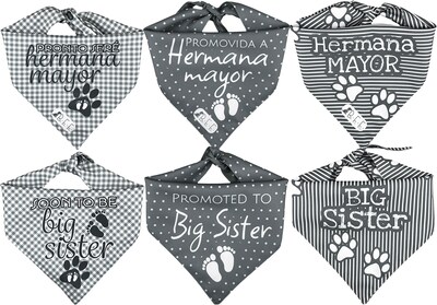 Foto 1 | Foto 1 | Kit 3 Bandanas Artesanales Para Perro Bff 040-hermana Mayor-gris Paliacate Doble Vista 6 Looks Diferentes.