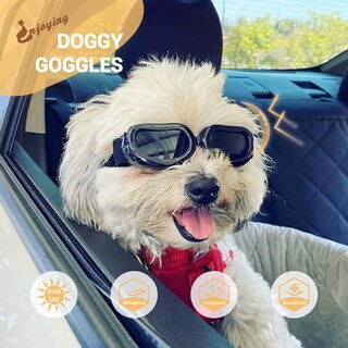 Foto 2 | Foto 2 | Gafas De Sol Para Perros Con Protección Uv Para Razas Pequeñas - Venta Internacional.