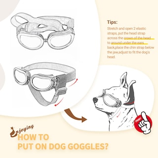 Foto 5 | Foto 5 | Gafas De Sol Para Perros Con Protección Uv Para Razas Pequeñas - Venta Internacional.