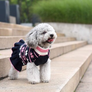Foto 3 | Foto 3 | Vestido Tipo Suéter Con Cuello Alto Para Perros Medianos | Huoguo - Venta Internacional.