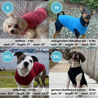 Foto 5 | Foto 5 | Chaleco Polar Elástico Gooby Para Perros De Tamaño Mediano, Color Rosa - Venta Internacional.