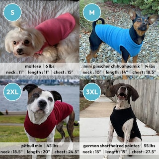 Foto 5 | Foto 5 | Suéter Para Perros Gooby, Chaleco De Forro Polar Elástico, Color Menta, Para Perros Grandes - Venta Internacional.
