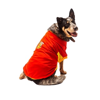 Foto 1 | Foto 1 | Playera España Mundial de Futbol Pet Pals para Mascota