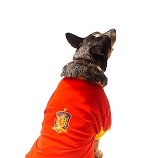 Foto 2 | Foto 2 | Playera España Mundial de Futbol Pet Pals para Mascota