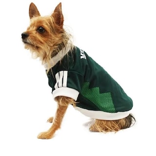 Foto 2 | Foto 2 | Playera México Mundial 2018 Pet Pals para Mascota