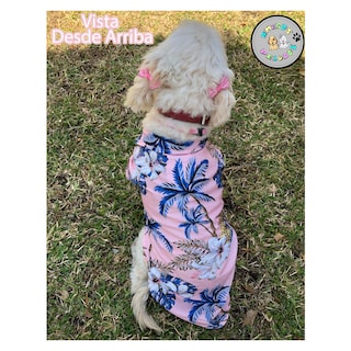 Foto 7 | Foto 7 | Camisa Hawaiana para Perro Razas Pequeñas Gato 3 Pack