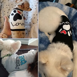 Foto 2 | Foto 2 | Ropa Para Perros Huoguo Para Perros Pequeños, Camisa De Verano Para Hombre Y Mujer - Venta Internacional.