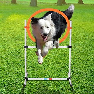 Foto 2 | Foto 2 | Equipo de Agilidad 2 en 1 para Entrenamiento de Obstáculos para Perros PawHut - Venta Internacional