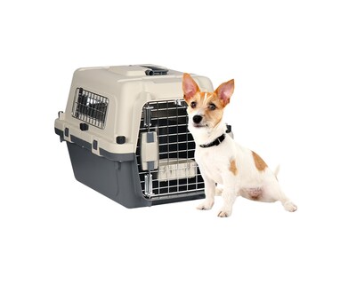 Foto 1 | Foto 1 | Transportadora De Plástico Para Mascotas Xs