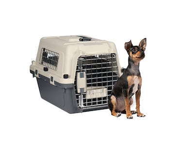 Foto 1 | Foto 1 | Transportadora De Plástico Para Mascotas S