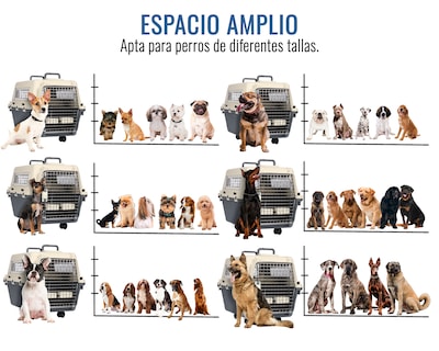 Foto 3 | Foto 3 | Transportadora De Plástico Para Mascotas S