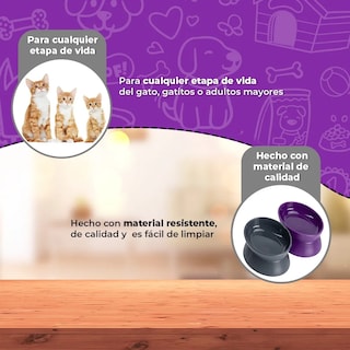Foto 4 | Foto 4 | Set 2 Platos Belug Mascotas Gris Y Morado