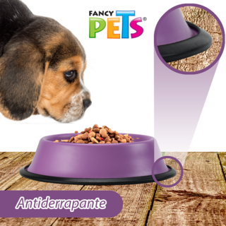 Foto 3 | Foto 3 | Fancy Pets Plato De Colores Surtidos Para Perro Con 16 Onzas O 454 Gramos