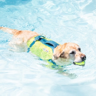 Foto 7 | Foto 7 | Chaleco Salvavidas Para Perros Outward Hound Standley Sport Green Medium - Venta Internacional.