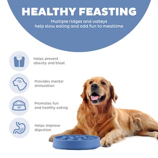 Foto 3 | Foto 3 | Dog Bowl Outward Hound Fun Feeder Slo Bowl, Alimentador Lento, Azul - Venta Internacional.