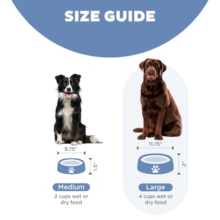 Foto 4 | Foto 4 | Dog Bowl Outward Hound Fun Feeder Slo Bowl, Alimentador Lento, Azul - Venta Internacional.