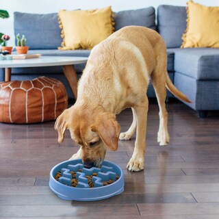 Foto 5 | Foto 5 | Dog Bowl Outward Hound Fun Feeder Slo Bowl, Alimentador Lento, Azul - Venta Internacional.
