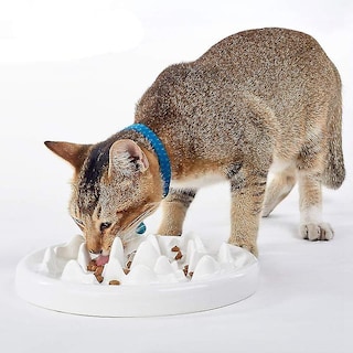Foto 4 | Foto 4 | Cuenco De Cerámica Slow Feeder Huoguo Para Gatos Y Perros, Color Blanco - Venta Internacional.