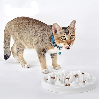 Foto 5 | Foto 5 | Cuenco De Cerámica Slow Feeder Huoguo Para Gatos Y Perros, Color Blanco - Venta Internacional.