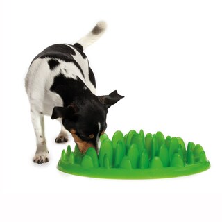 Foto 3 | Foto 3 | Cuenco Para Perros Slow Feeder Company Of Animals, Color Verde, Para Perros Grandes - Venta Internacional.