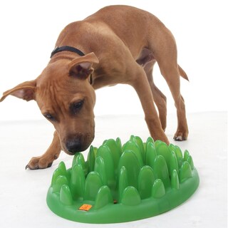 Foto 4 | Foto 4 | Cuenco Para Perros Slow Feeder Company Of Animals, Color Verde, Para Perros Grandes - Venta Internacional.