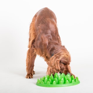 Foto 5 | Foto 5 | Cuenco Para Perros Slow Feeder Company Of Animals, Color Verde, Para Perros Grandes - Venta Internacional.
