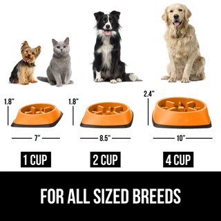 Foto 6 | Foto 6 | Cuenco Para Perros Slow Feeder Gorilla Grip, 2 Tazas, Naranja, 100% Libre De Bpa - Venta Internacional.