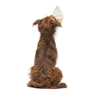 Foto 5 | Foto 5 | Alfombrilla Para Lamer Perros Slow Feeder, Auténtico Helado Fred Distract O Mat - Venta Internacional.