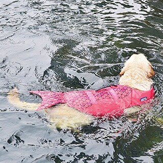 Foto 6 | Foto 6 | Traje De Baño De Seguridad Para Perros Pequeños Con Chaleco Salvavidas Haocoo Saver - Venta Internacional.