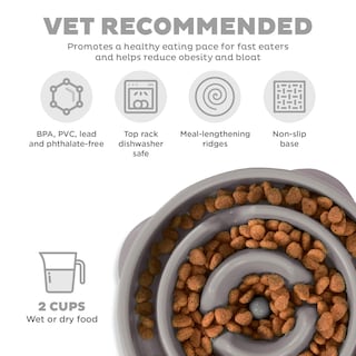 Foto 3 | Foto 3 | Plato para Perros Slow Feeder Outward Hound Fun Gris - Venta Internacional