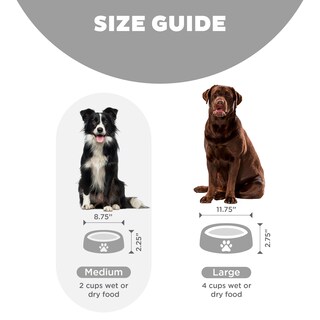 Foto 5 | Foto 5 | Plato para Perros Slow Feeder Outward Hound Fun Gris - Venta Internacional