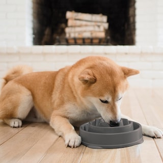 Foto 6 | Foto 6 | Plato para Perros Slow Feeder Outward Hound Fun Gris - Venta Internacional