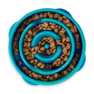 Foto 1 | Foto 1 | Dog Bowl Outward Hound Fun Feeder Slo Bowl, Alimentador Lento - Venta Internacional.