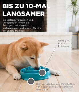 Foto 3 | Foto 3 | Dog Bowl Outward Hound Fun Feeder Slo Bowl, Alimentador Lento - Venta Internacional.