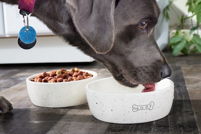 Foto 4 | Foto 4 | Cuenco De Cerámica Para Perros Pearhead Woof, 710 Ml, Para Mascotas, 3 Tazas - Venta Internacional.