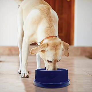 Foto 1 | Foto 1 | Cuenco Refrigerante Para Mascotas K&h Pet Products Coolin' Blue 2.8l - Venta Internacional.
