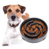 Cuenco Slow Feeder Whippy Para Comida Para Perros Medianos, Cuenco De Agua, Gris - Venta Internacional.