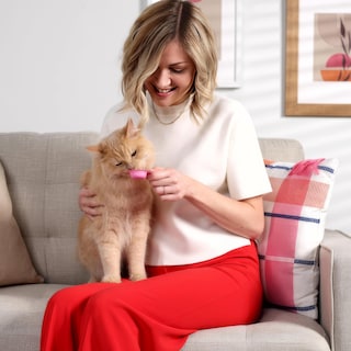 Foto 4 | Foto 4 | Cuchara Para Lamer Cat Treats Hartz New Delectables 32 Unidades - Venta Internacional.