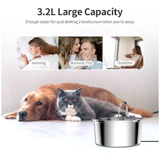 Foto 3 | Foto 3 | Bebedero para Gatos y Perros Eo Safe Imports ESI-10854 Plateado