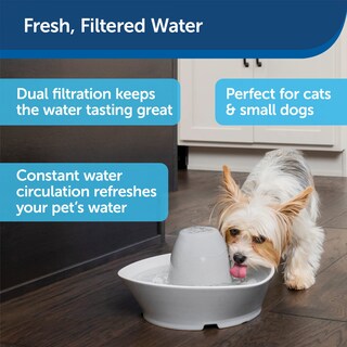 Foto 4 | Foto 4 | Fuente Para Mascotas Petsafe Creekside Ceramic, Capacidad De Agua De 1,8 Litros - Venta Internacional.