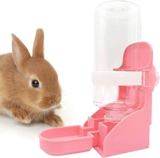 Foto 5 | Foto 5 | Fuente Colgante Para Botella De Agua Rabbit Huoguo, 500 Ml - Venta Internacional.