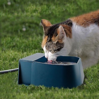 Foto 4 | Foto 4 | Bebederos Automáticos Con Alimentador De Cuencos De Agua Para Animales - Venta Internacional.