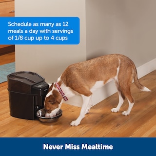 Foto 2 | Foto 2 | Comedero Automático Para Perros Petsafe Healthy Pet Simply Feed Black - Venta Internacional.