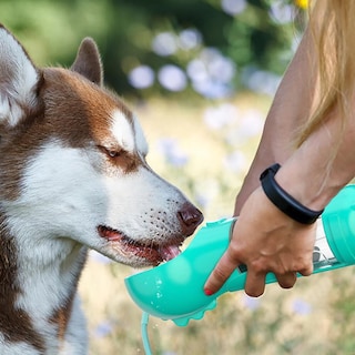 Foto 3 | Foto 3 | Botella De Agua Multifuncional Para Perros Holapet 300 Ml Portátil - Venta Internacional.