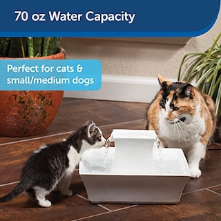 Foto 2 | Foto 2 | Fuente De Agua Petsafe Drinkwell Pagoda Ceramic 2.1l - Venta Internacional.